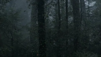 Polished_RAW - @Van-der-Ledre: ja wole gleboki las