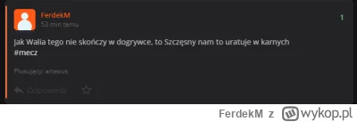 FerdekM - Mówiłem
#mecz