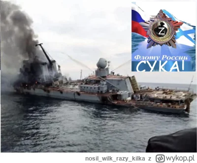 nosilwilkrazy_kilka - >czemu ten okręt wygląda jakby był cały przerdzewiały? XD

@azi...