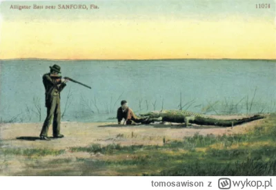 tomosawison - Zarzutka na aligatora. Pozdro z Florydy!