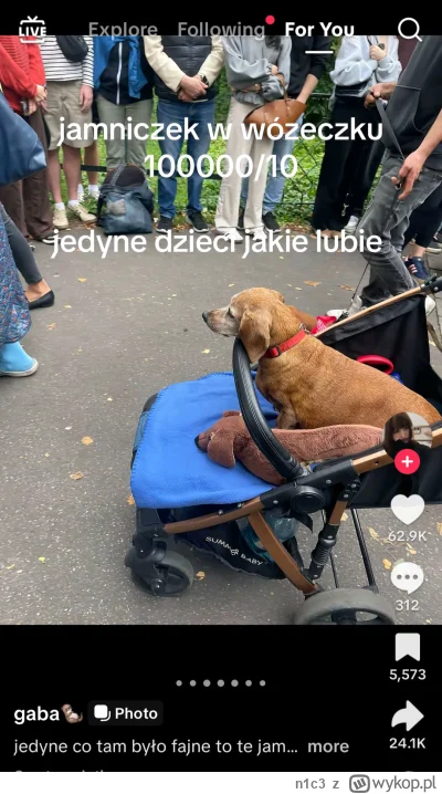 n1c3 - Nie mogę, dziewczyna poszła na zlot jamników (xD) i tam wstawia zdjęcia, podni...