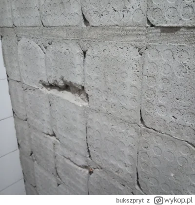 bukszpryt - #remontujzwykopem jak klej/cement po płytkach dobrze się trzyma ściany, t...