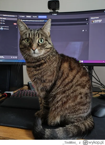 TiniMini - @PurpleHaze: Coś mówiłeś? ( ͡° ͜ʖ ͡°)