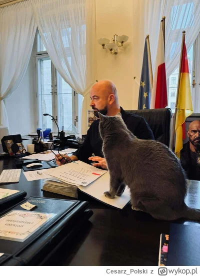 Cesarz_Polski - #kotekwrocek #wroclaw