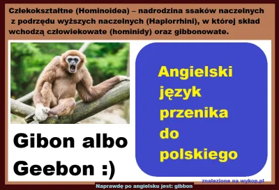 Wincencik - @geebon: Ty jesteś większą. Nie kumasz. => Geny mają znaczenie dla budowy...