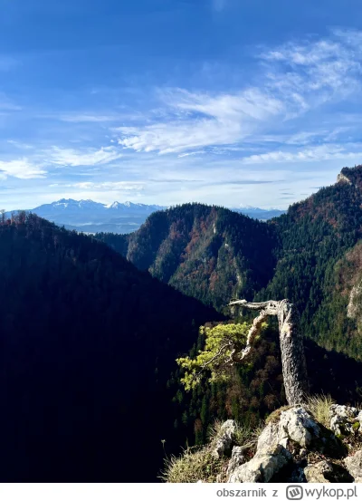 obszarnik - Nie przepadam za szlakami typu schody, ale dla tego widoku o poranku było...