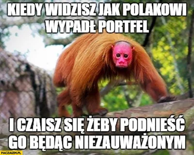 JanDzbanPL - #ukraina #heheszki #humorobrazkowy