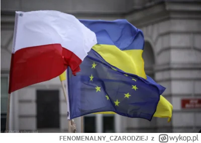 FENOMENALNY_CZARODZIEJ - #ukraina #ue #uniaeuropejska #polska #ankieta #polityka