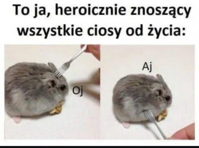 Linnior88 - #przegryw #memy