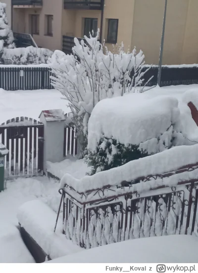 Funky__Koval - Super! Znowu jak w bajce!!

Kolejny dzień lopatowania!!!  

Pierwsze s...