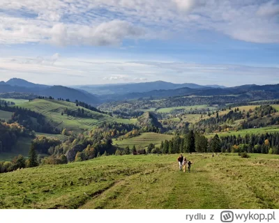 rydlu - #mikrowyzwanie zdjęcie 2, to lubię