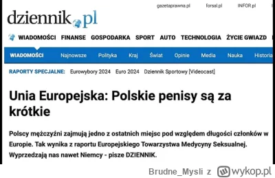 Brudne_Mysli - Wpuścić inżynierów, problem z Polakami jest jeden ..