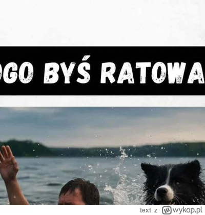 text - Kolejny dowód że psiary mają coś z deklem (ponad 90% pulsujących to kobiety), ...