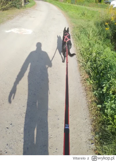 Vitarelo - Czas zacząć #spierdotrip 
Plan około 20-22km
#depresja #psy