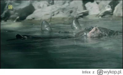 Infex - #wladcapierscieni ZOBACZ POTTER CO NAROBIŁEŚ!