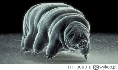 FFFFUUUU - @Borealny: zupełnie jak niesporczaki