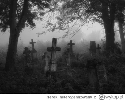 serek_heterogenizowany - Czy zwiedzenie opuszczonego cmentarza w głębi lasu o 12 w no...