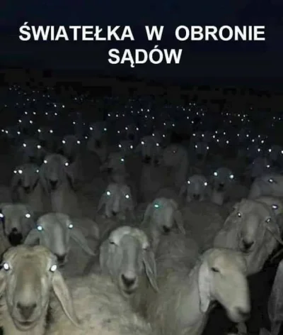 Zaxx - > wolne sądy. Jak trzeba było ich bronić, to były świeczki...

@logitive: Były...