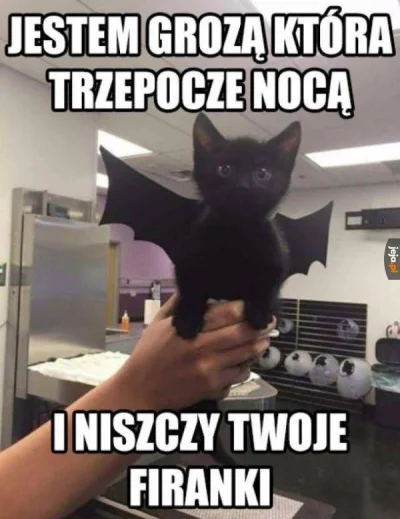 Apaturia - @Kantorwymianymysliiwrazen: