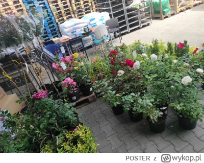 POSTER - #ogrodnictwo 
plusy pracy w sklepie