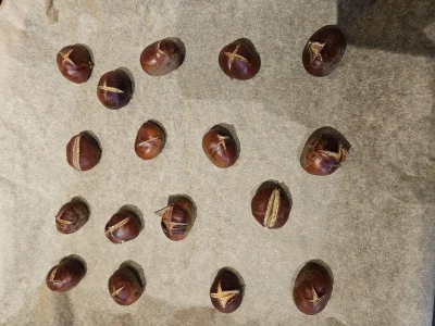 pypowicz - I do pieca!( ͡° ͜ʖ ͡°)
Kasztany jadalne, będą jedzone z konfiturą
 (｡◕‿‿◕｡...