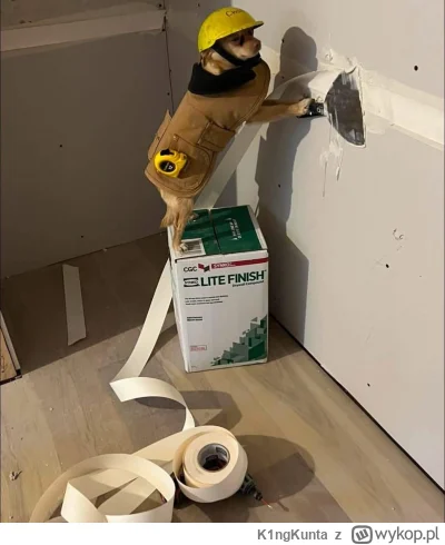 K1ngKunta - #heheszki #humorobrazkowy #smiesznypiesek