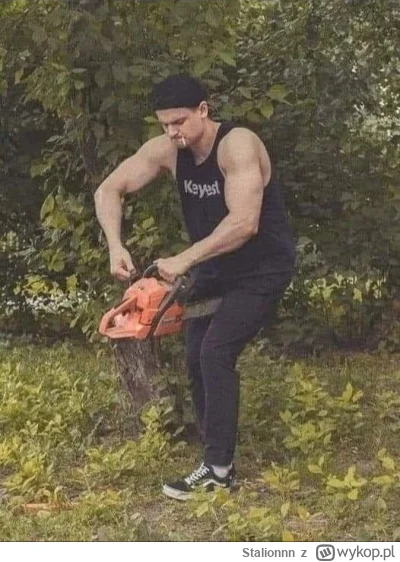 Stalionnn - #heheszki #humorobrazkowy

Myślę sprzedam starą piłę i tak nie pali. Przy...