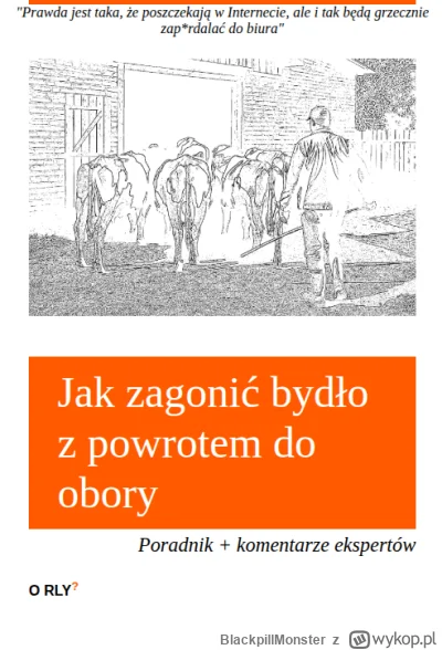 BlackpillMonster - #programista15k #programowanie #pracait #korposwiat