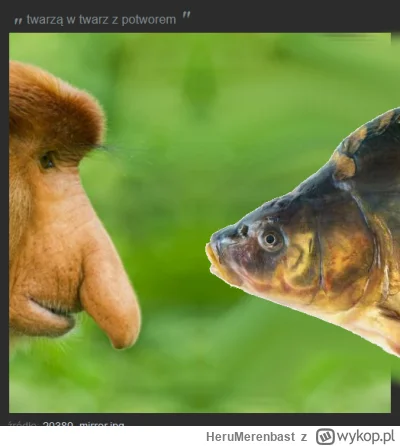 HeruMerenbast - #konkursnanajbardziejgownianymemznosaczem