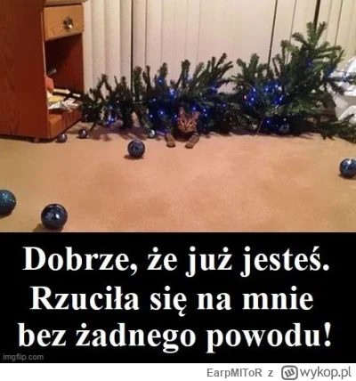 EarpMIToR - #swieta #koty #heheszki