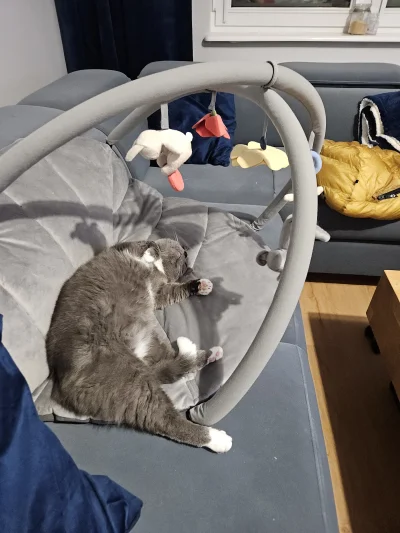 klefonafide - Piątkowy relaks 

#koty #pokazkota #smiesznekotki