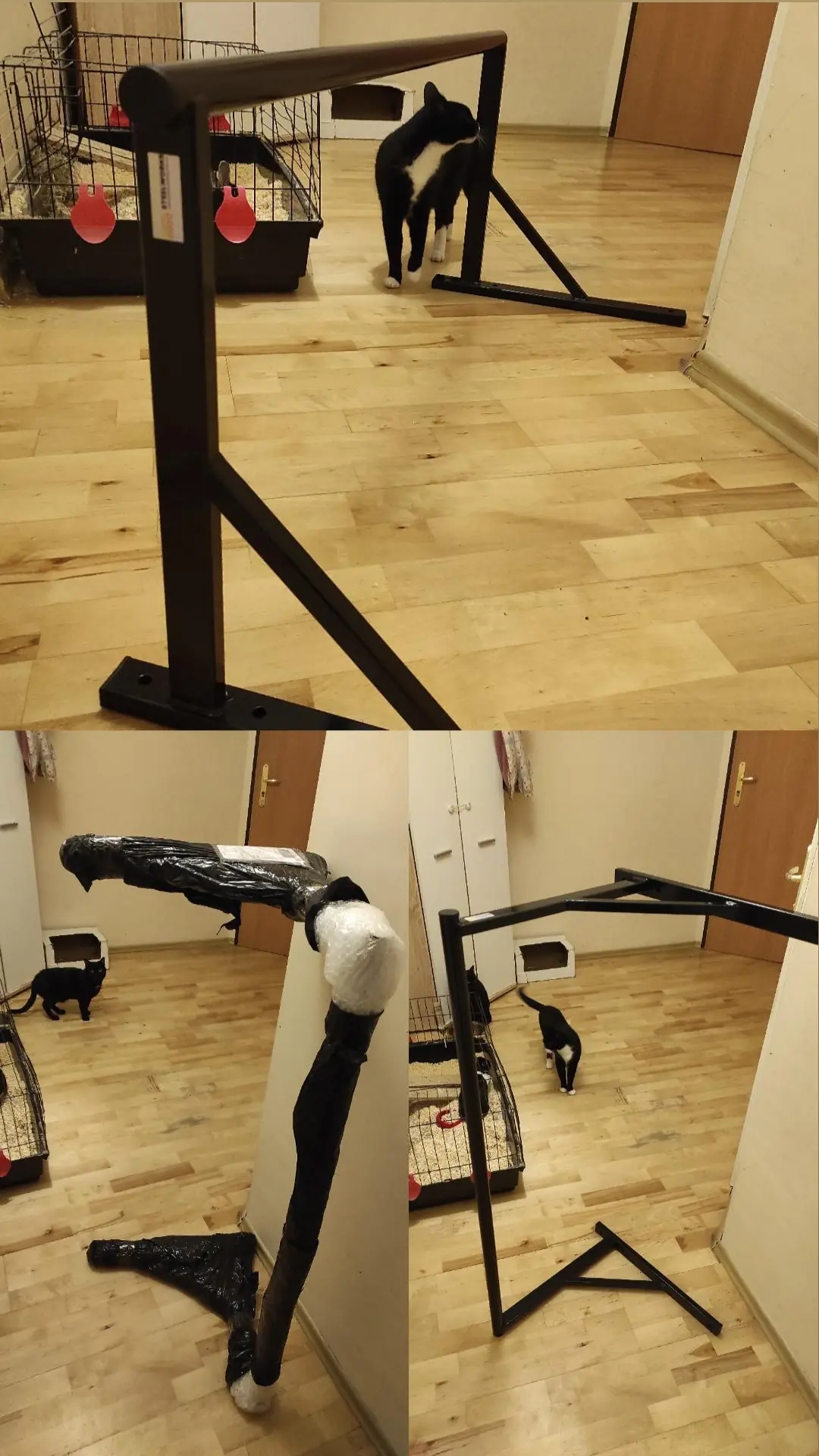 Jazon - #kalistenika #mikrokoksy #silownia #mikrokoksy
Często pojawiają się wpisy z z...