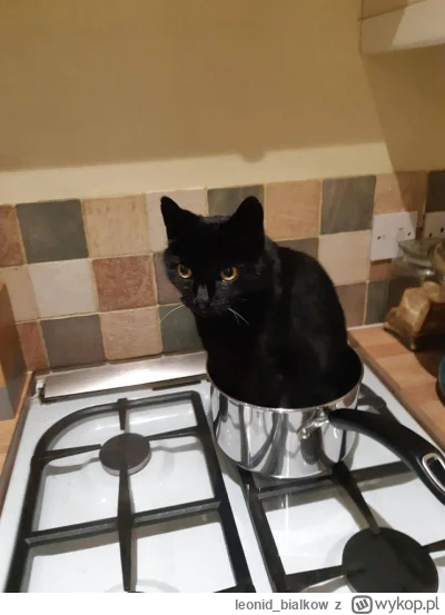 leonid_bialkow - jakby była melina to bymy nie siedzieli w garkach