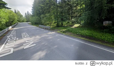 kotlin - @Winter_Scorpion: leżał przy samej drodze powiatowej, więc pewnie od piątku ...