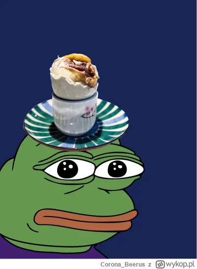 Corona_Beerus - Eh kurła hossa się zaczyna a nooby się interesują tylko jak coś już j...