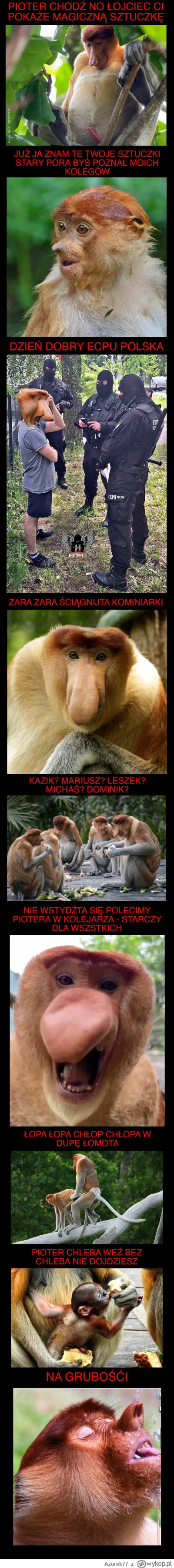 Azorek77 - #konkursnanajbardziejgownianymemznosaczem