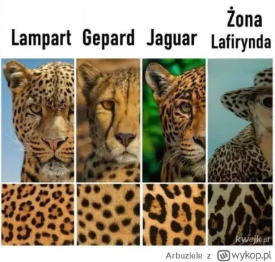 Arbuzlele - #heheszki #humorobrazkowy