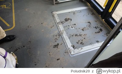 Poludnik20 - Rzucanie pereł przed wieprze?

#komunikacjamiejska #autobus #zbiorkom