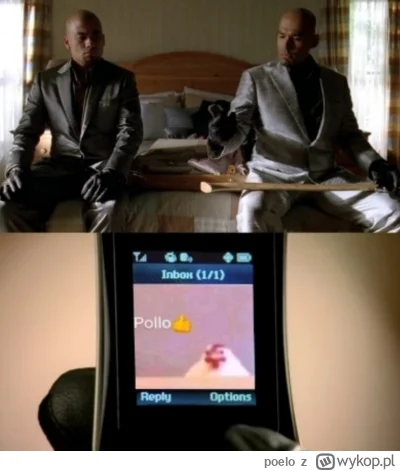 poelo - @DrJudym: Pollo 👍