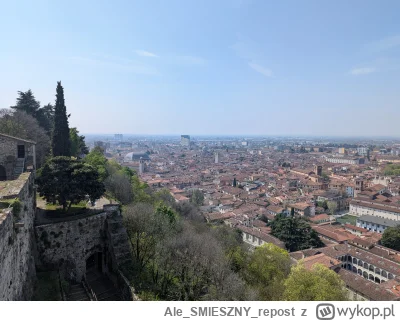 AleSMIESZNYrepost - A co się będę, nic ciekawego nie idzie znaleść na tym mirko to pr...