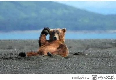 annlupin - @leonid_bialkow: dobranoc nom