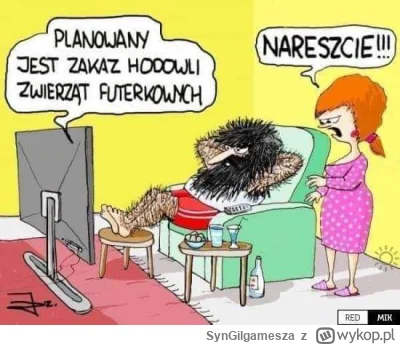 SynGilgamesza - #grazynacore #heheszki #humorobrazkowy