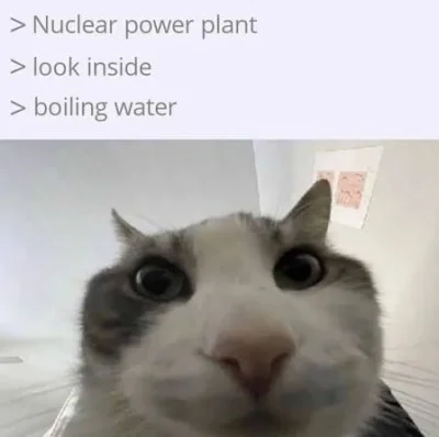 Timer_555 - #przegryw #elektrowniaatomowa #elektrownia