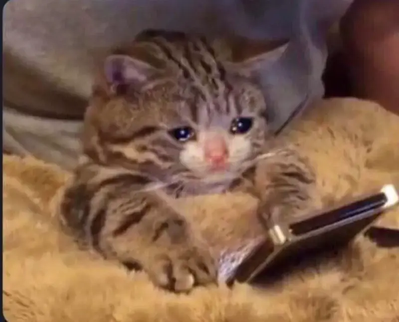 Konto4Czarnolisto - @diwanin100: kurde