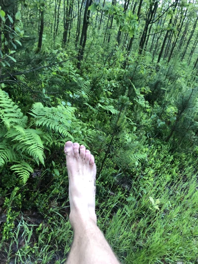 ChlopoRobotnik2137 - @Jestem_Tutaj  idę boso przez las