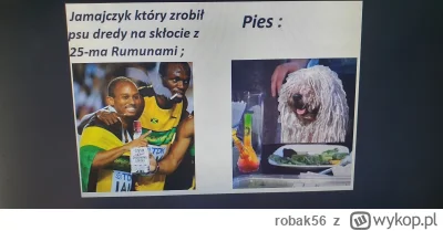 robak56