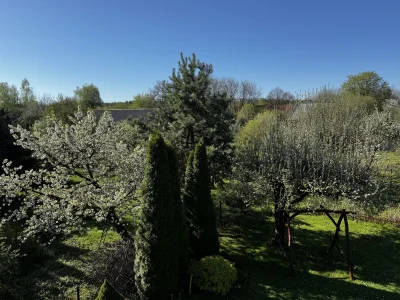 Zoyav - uwielbiamy swoje podwórko, za dzieciaka spędzałam tam każdą wolną chwilę i ci...