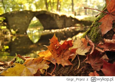 Grgr_Prprz - @ZygmuntJedyny 
Zdjecie sprzed 10 lat