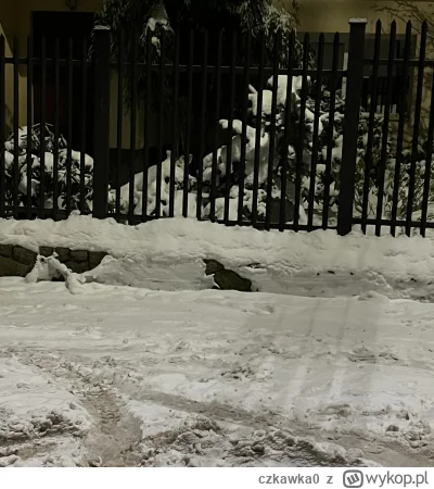 czkawka0 - Kitku zmarznięty w śniegu zaklęty #koty #kitku #zima