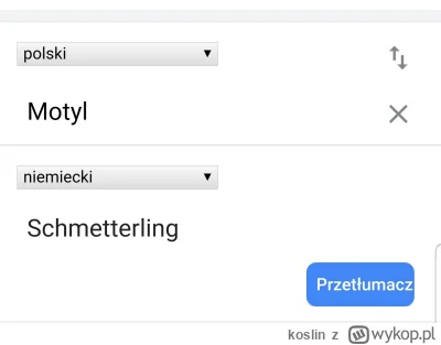 koslin - K---a... przypomniałem sobie "Schmetterling"
Ja p------e... (DE) ...co za z-...